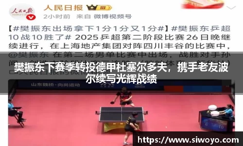 樊振东下赛季转投德甲杜塞尔多夫，携手老友波尔续写光辉战绩